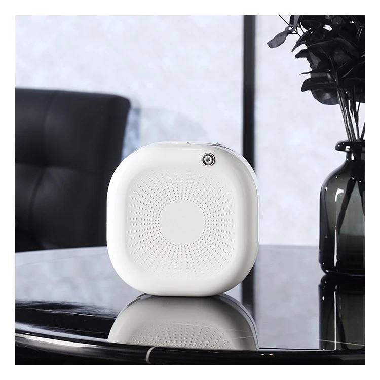 Wall Mounted Essential Oil Diffuser suppliers